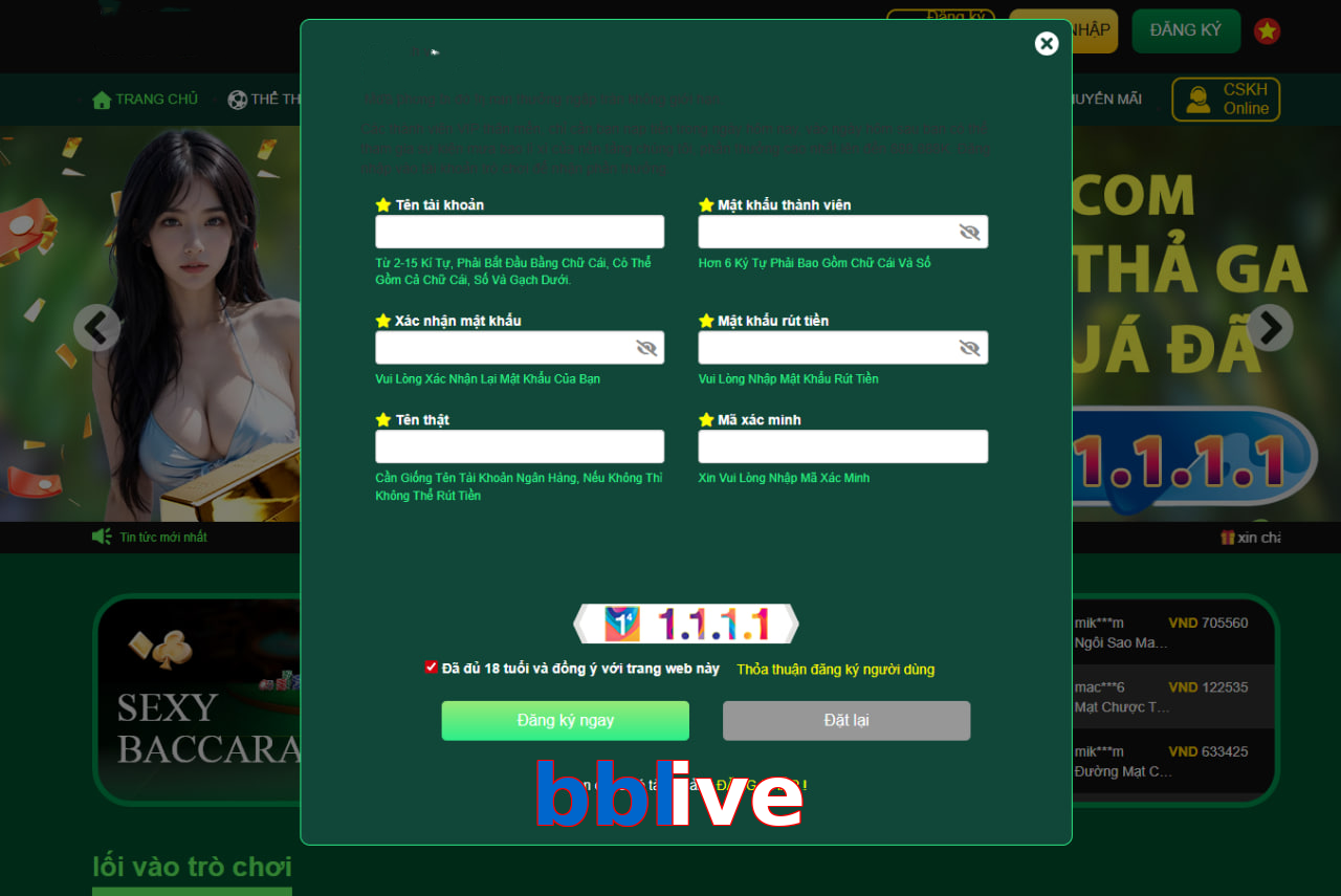 bblive